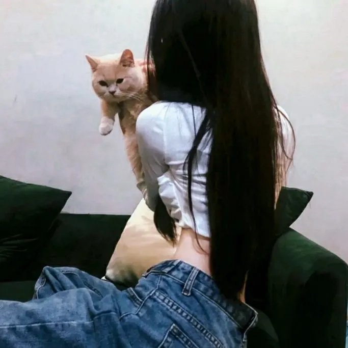 香车绮梦